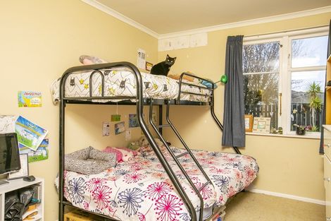 Photo of property in 116 Cockburn Street, Kuripuni, Masterton, 5810