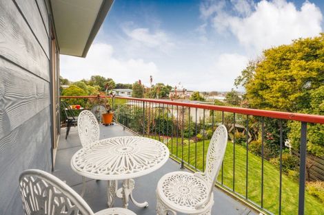 Photo of property in 4 Eastview Place, Feilding, 4702