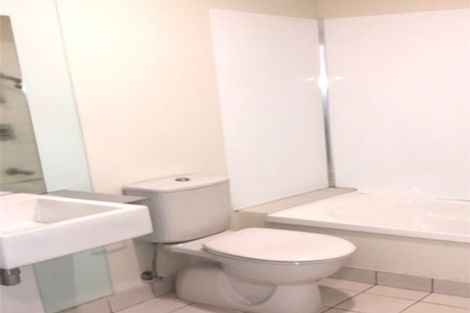 Photo of property in Luna Apartments, 3t/16 Burton Street, Grafton, Auckland, 1010