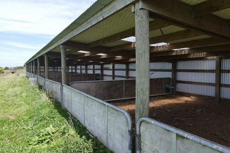 Photo of property in 124 Kahouri Road, Midhirst, Stratford, 4394