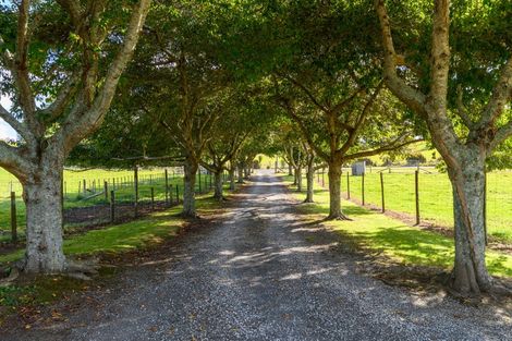 Photo of property in 220 Ross Road, Whakamarama, Tauranga, 3179