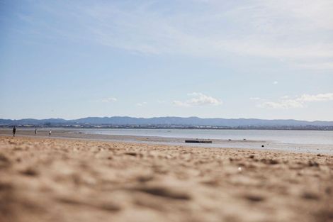 Photo of property in 16 Joan Street, Point Chevalier, Auckland, 1022