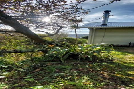 Photo of property in 75 Severn Street, Island Bay, Wellington, 6023