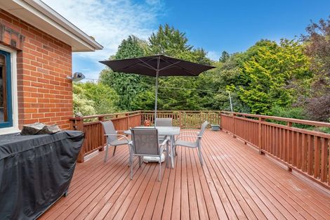 Photo of property in 11 Manchester Street, Bradford, Dunedin, 9011