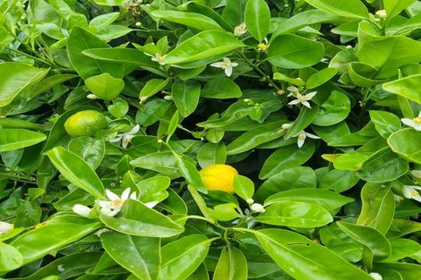 Photo of property in 106 Kaniere Road, Kaniere, Hokitika, 7811