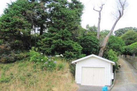 Photo of property in 29 Krull Street, Vogeltown, Wellington, 6021