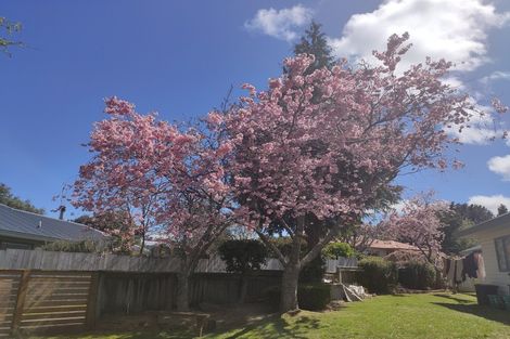 Photo of property in 6 Balmoral Drive, Hilltop, Taupo, 3330