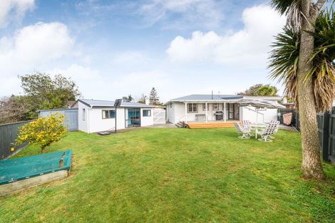 Photo of property in 46 Leicester Street, Terrace End, Palmerston North, 4410
