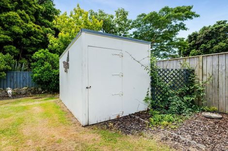 Photo of property in 80 Parris Street, Waitara, 4320