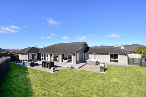 Photo of property in 47 Meadowfield Street, Flagstaff, Hamilton, 3210