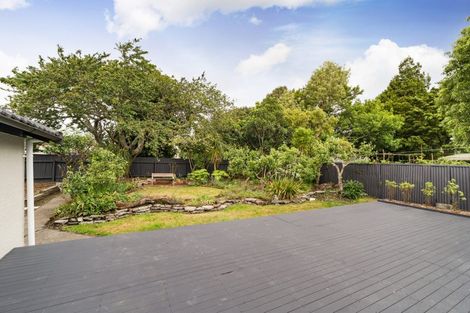 Photo of property in 85 Shamrock Street, Takaro, Palmerston North, 4412