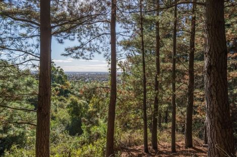 Photo of property in 70 Holliss Avenue, Cashmere, Christchurch, 8022