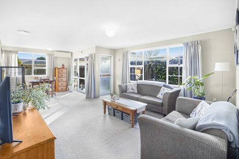 Photo of property in 5 Brooklyn Road, Claudelands, Hamilton, 3214