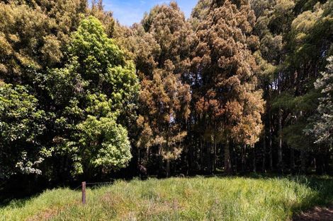 Photo of property in 2447 Port Waikato-waikaretu Road, Waikaretu, Tuakau, 2695