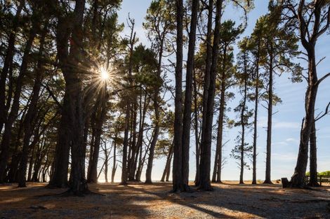 Photo of property in 248 Rarangi Beach Road, Rarangi, Blenheim, 7273