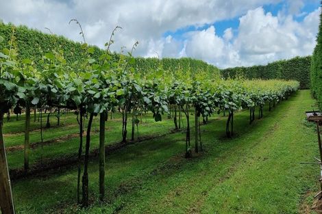 Photo of property in 84 Jensen Road, Omanawa, Tauranga, 3171