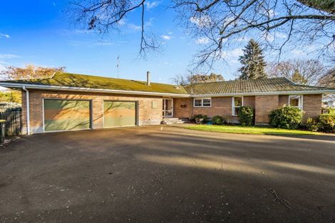 Photo of property in 55 Peters Street, Hinds, Ashburton, 7773