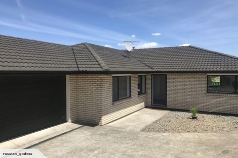 Photo of property in 20a Hamlin Road, Mount Wellington, Auckland, 1060