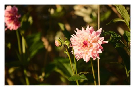 Photo of property in 19c Thames Road, Paeroa, 3600