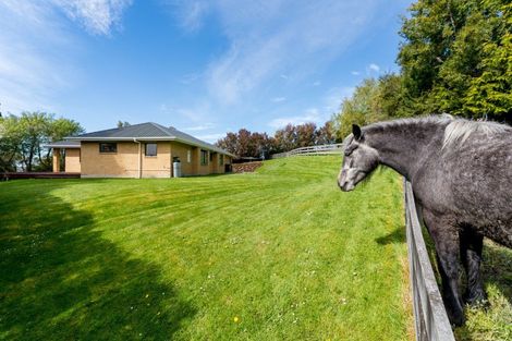 Photo of property in 14 Saddle Hill Road, Fairfield, Dunedin, 9076