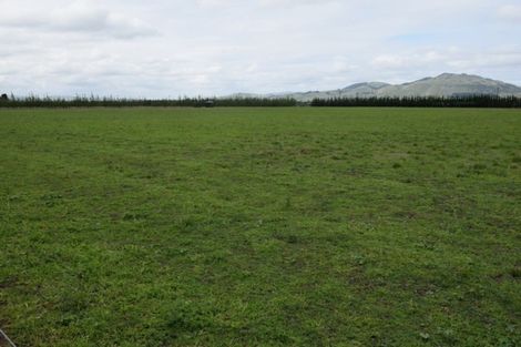 Photo of property in Purchas Road, Glasnevin, Amberley, 7482