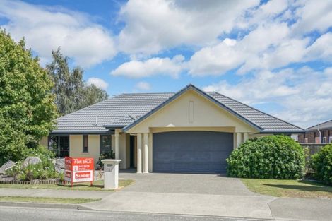 Photo of property in 1 Saint James Avenue, Richmond, 7020