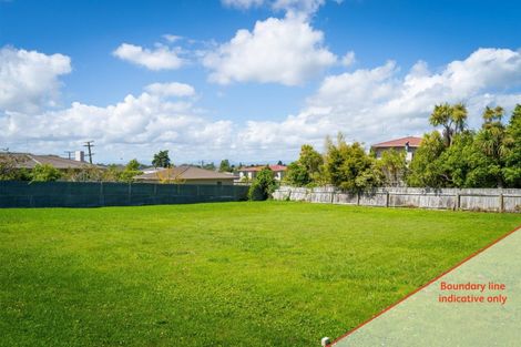 Photo of property in 33a Haggitt Street, Feilding, 4702