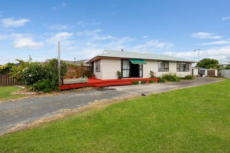 Photo of property in 9 Piako Road, Turua, Thames, 3574