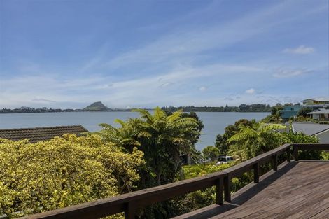 Photo of property in 266 Maungatapu Road, Maungatapu, Tauranga, 3112