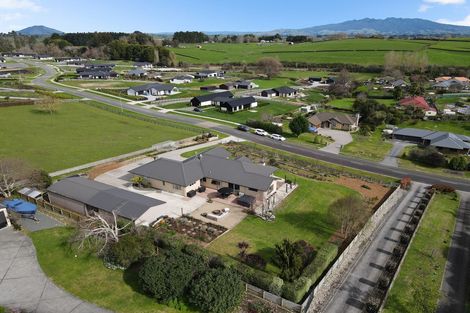 Photo of property in 21 Charles Edwards Street, Ohaupo, 3803