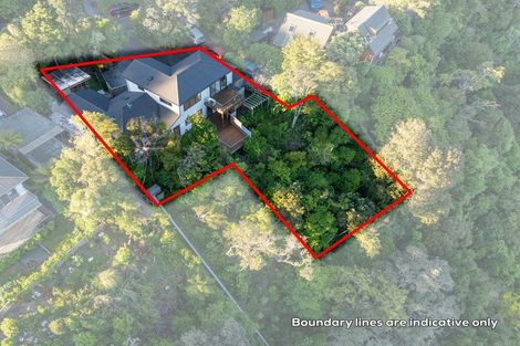 Photo of property in 45 Pohutukawa Avenue, Shelly Park, Auckland, 2014