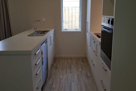 Photo of property in 19 Zabeel Street, Lincoln, 7608