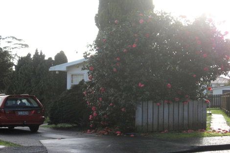 Photo of property in 21 Crawford Crescent, Te Kamo, Whangarei, 0112