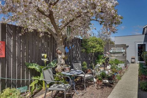 Photo of property in 6c Adams Lane, Springlands, Blenheim, 7201