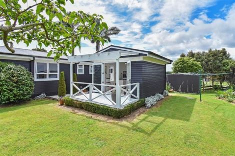 Photo of property in 165 Mckenzie Road, Waiau Pa, Pukekohe, 2679