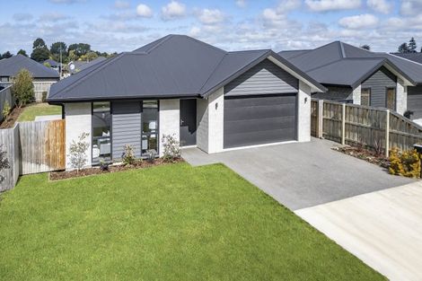 Photo of property in 74 Quinn Crescent, Woodend, 7610