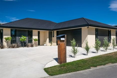 Photo of property in 239 Taylor Pass Road, Witherlea, Blenheim, 7201
