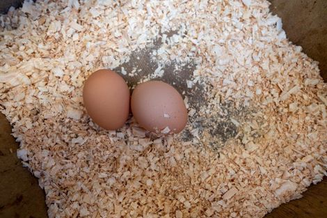 Photo of property in 9b Kenrick Road, Pukehangi, Rotorua, 3015