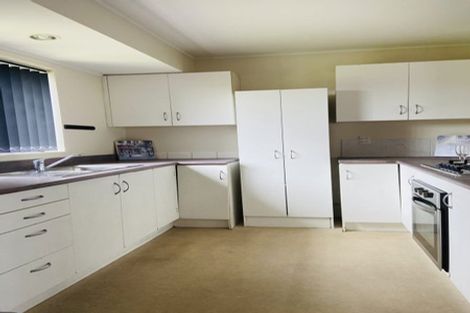 Photo of property in 55 Michael Jones Drive, Flat Bush, Auckland, 2019