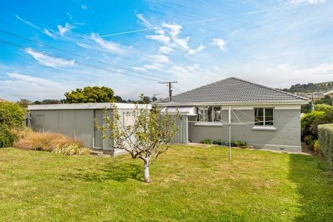 Photo of property in 14 Ethel Street, Wakari, Dunedin, 9010