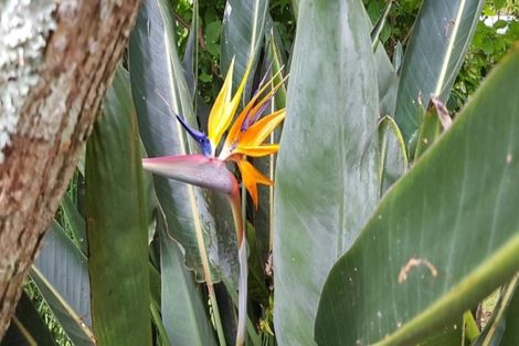 Photo of property in 36 Windsor Drive, Tairua, 3508