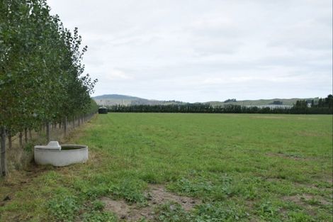 Photo of property in Purchas Road, Glasnevin, Amberley, 7482