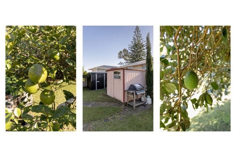 Photo of property in 36a Crane Street, Mount Maunganui, 3116