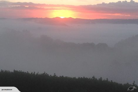 Photo of property in 314 Vinegar Hill Road, Kauri, Kamo, 0185