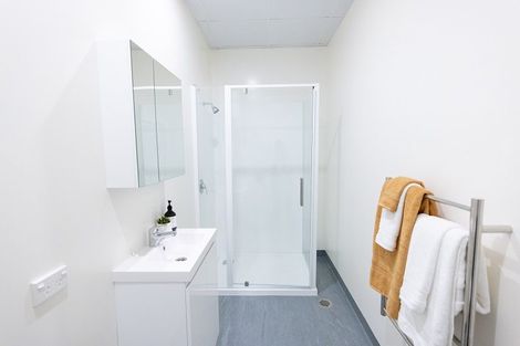 Photo of property in Te Kainga, 195 Willis Street, Te Aro, Wellington, 6011