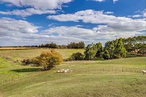 Photo of property in 945 Linwood Road, Kingseat, Papakura, 2580