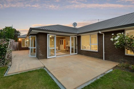 Photo of property in 8 Patricia Place, Harewood, Christchurch, 8051