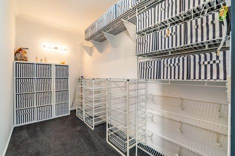 Photo of property in 1 Young Nicks Lane, Whitby, Porirua, 5024