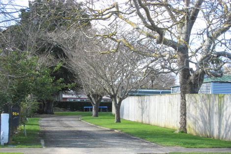 Photo of property in 91a Macarthur Street, Levin, 5510