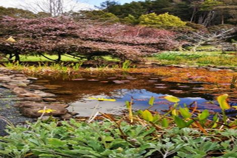 Photo of property in 638 Takahue Road, Takahue, Kaitaia, 0481